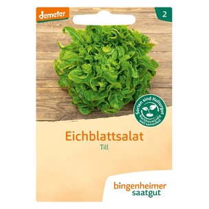 Pflücksalat Till