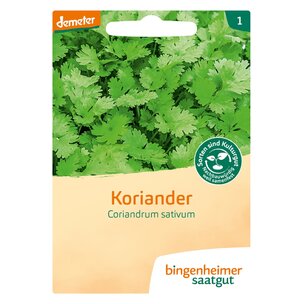 Koriander