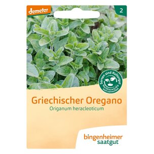 griechischer Oregano