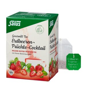 Gourmet Tee Erdbeeren Früchte-Cocktail bio 15FB