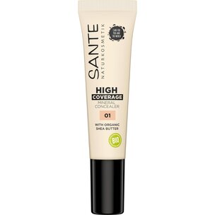 High Coverage Mineral Concealer 01