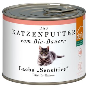 Katze Lachs 