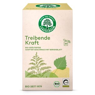 Treibende Kraft