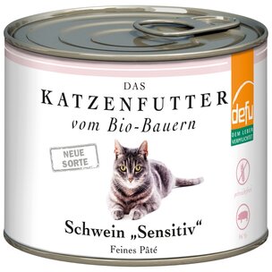 Katze Schwein 