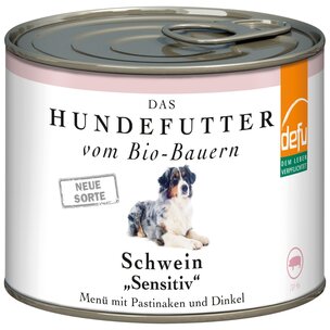 Hund Schwein 