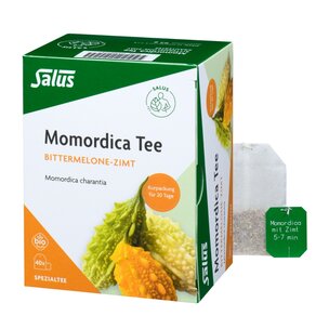 Salus® Momordica mit Zimt Tee bio 40 FB