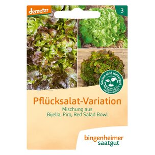 Pflücksalatmischung, Pflücksalat-Variation