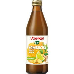 Kombucha Limette Ingwer