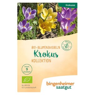 Krokus Kollektion