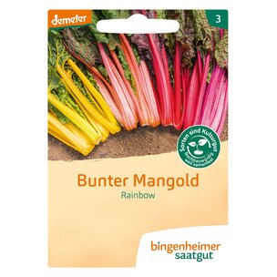 Mangold Rainbow