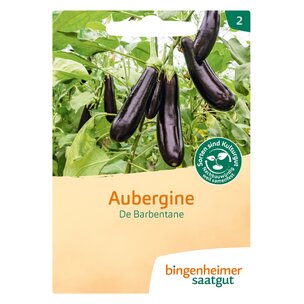 Aubergine De Barbentane