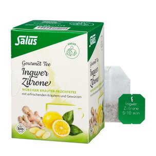 Salus® Gourmet Ingwer Zitrone Kräutertee bio 15 FB