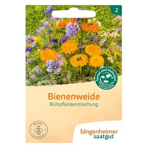 Mischung Bienenweide