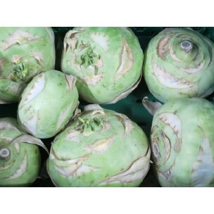 Kohlrabi